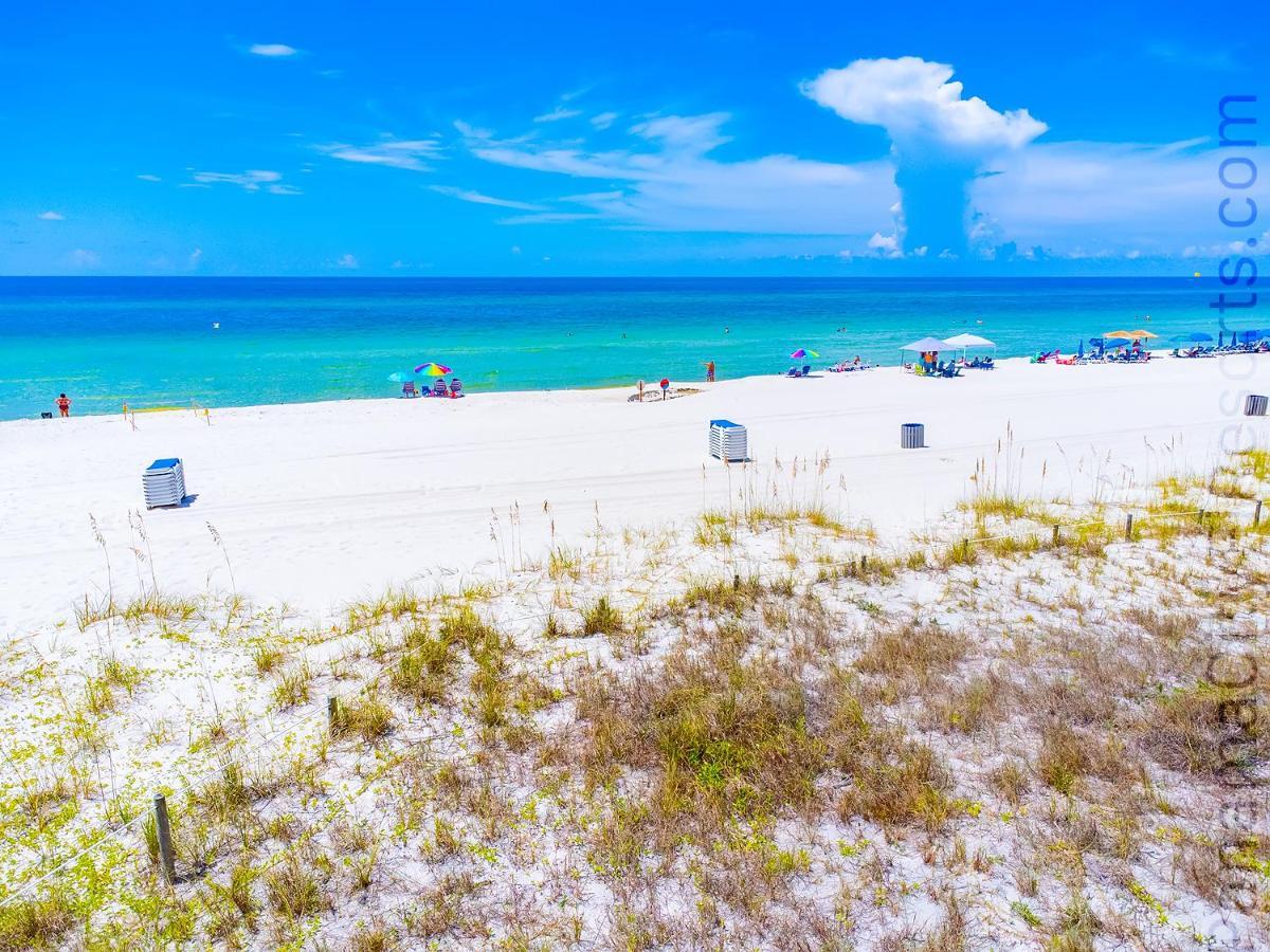 Gulf Pearl At The Ocean Reef *